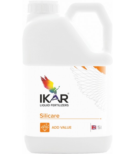 IKAR Silicare Basic, 5l